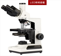 Kính hiển vi tương Wraymer BX-3500TPHL